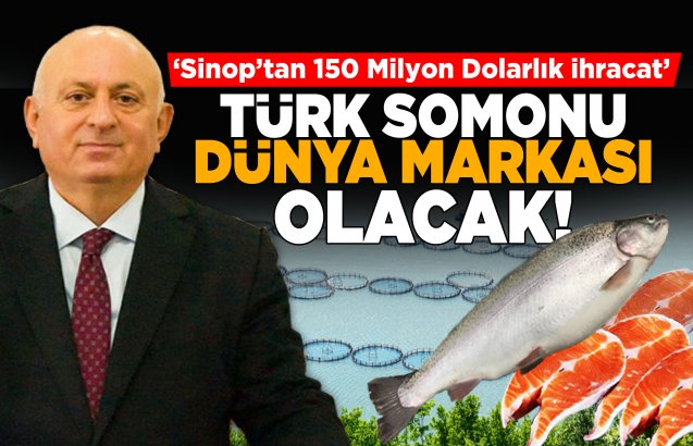 Sinop’tan 150 Milyon Dolarlık İhracat