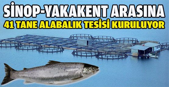 Sinop-Yakakent Arasına 41 Alabalık Tesisi